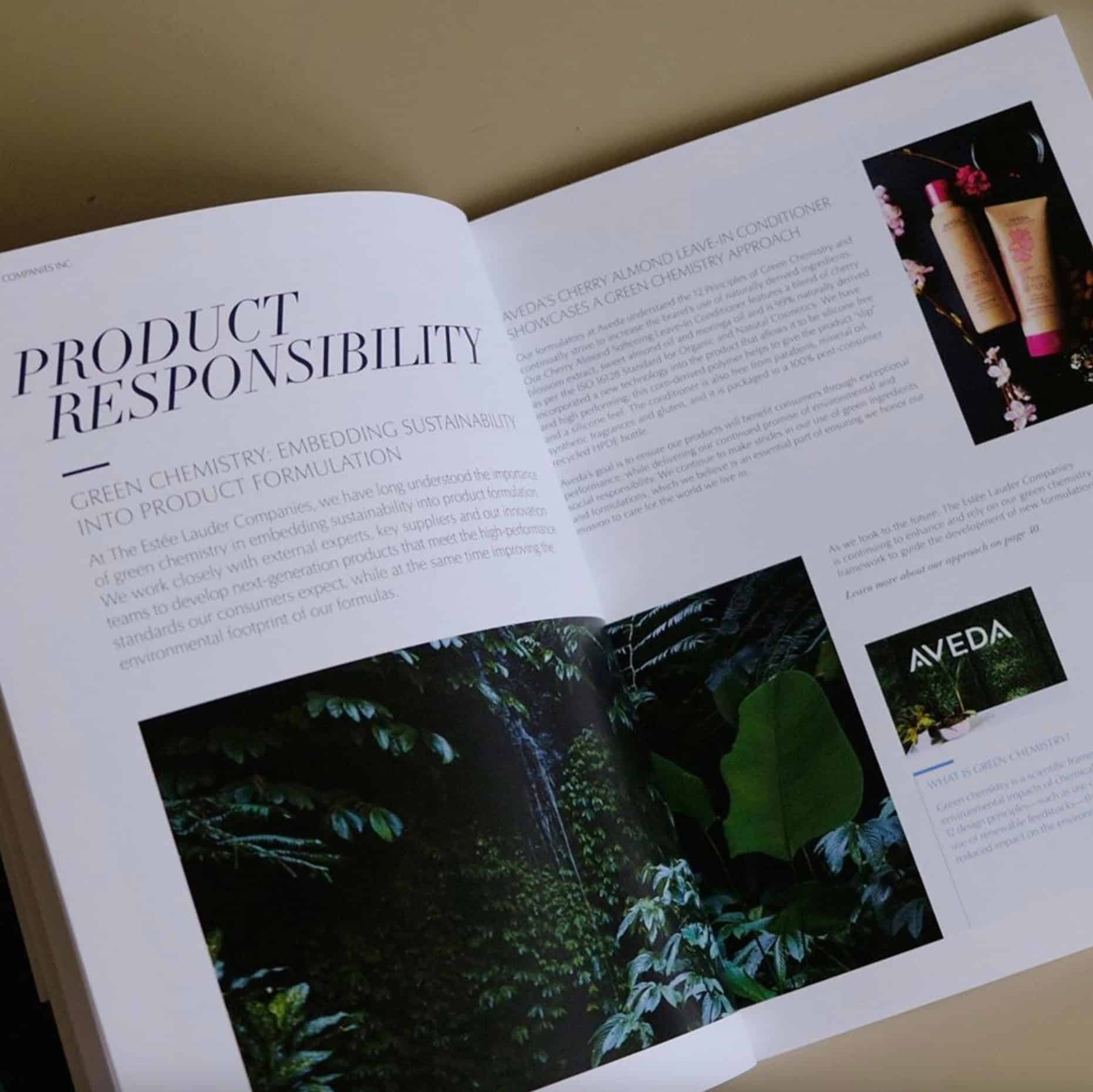 How to Design a Magazine for Print: Layout, Bleed, Margins & Resolution