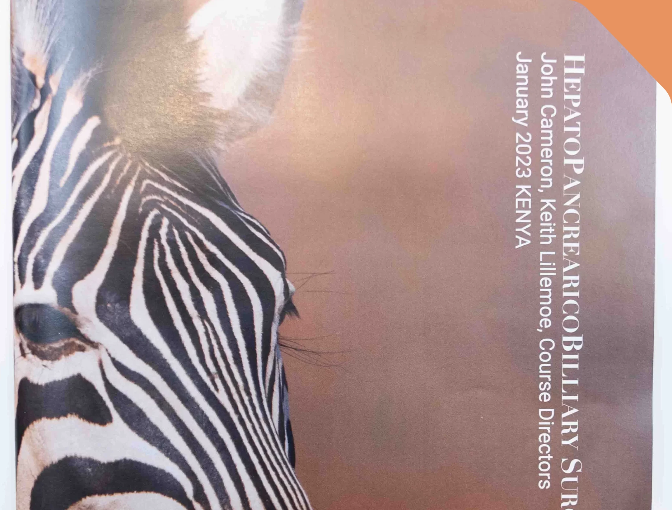 Custom Magazine Printing Options to Fit Your Vision